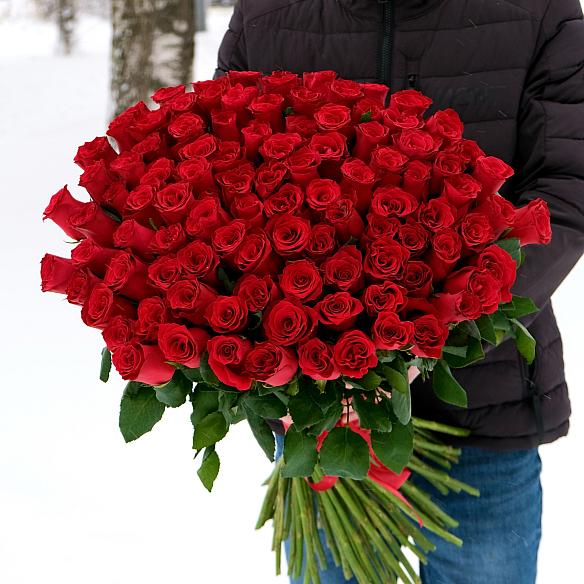 101 красная роза 70см (Кения) — фото товара